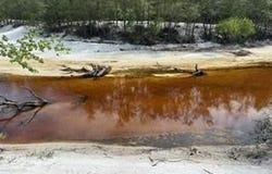 0000 St. Mary's River Bluff, LTD, Saint George, GA 31562