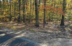 Redding Lane, Moultonborough, NH 03254