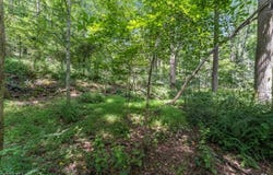 0 Sweet Hollow Road, Holland Twp., NJ 08848