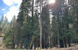 1968 Flamingo Way, Arnold, CA 95223