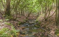 83.9 Ac Cutcane Road, Mineral Bluff, GA 30559