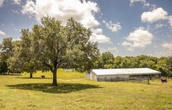 2900 Indian Paint Brush Road, Brenham, TX 77833