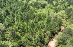 1 Ollie McCullough Road, Sprott, AL 36756