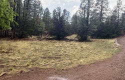 1907 Pine Top Drive, Overgaard, AZ 85928