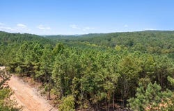 368 Kaisley Blue Eye Way, Broken Bow, OK 74728