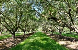 Le Grand Road, Le Grand, CA 95333