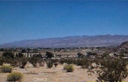 0 Lot 13 Benji Ave Avenue, Joshua Tree, CA 92252