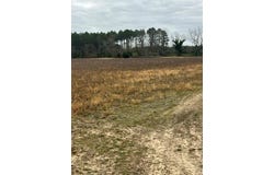 Franks Road, Fitzgerald, GA 31750