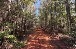 Tom Mans Road, Vaiden, MS 39176