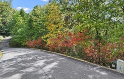 Oceola Dr - Lot #7, Ellijay, GA 30540