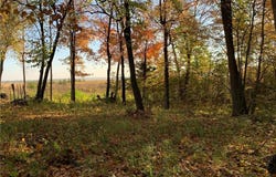 Tbd Grouse Loop NW, Walker, MN 56484