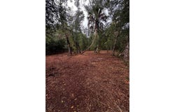 17432 INGLEWOOD Avenue, PORT CHARLOTTE, FL 33954