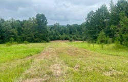 0  Center Ridge Rd, Midway, AL 36053