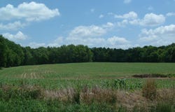 0 Clover Valley Road NW, Johnstown, OH 43031