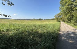 185 Brandenburg-Irvington Ln, Irvington, KY 40146
