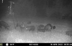 Tbd West Caney Road, Normangee, TX 77871