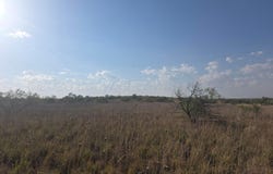 0 Tr 24 DAVISON Drive, Valle de Oro, TX 79124