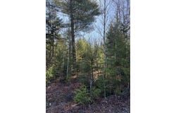 18-b Back Pasture Lane, Blue Hill, ME 04614