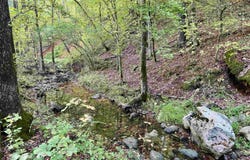 7847 S AR 9 Hwy, Melbourne, AR 72556