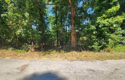 L28, B6 Zia Trace, Cherokee Village, AR 72529