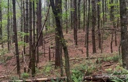 Conroy Court, Collettsville, NC 28611