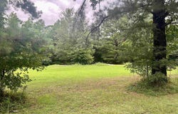 100 Mountain Side Drive, Pangburn, AR 72121