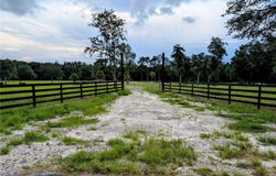 PETERSON ROAD, PIERSON, FL 32180