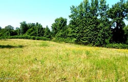 2450 Longtown Road, Sarah, MS 38665
