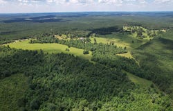 Hwy 20, Hamilton, AL 35570