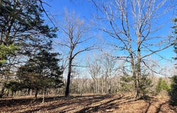 120ac County Road 547, Tecumseh, MO 65760