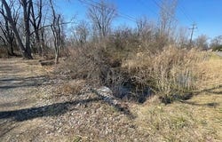 VACANT WAHRMAN, Romulus, MI 48174