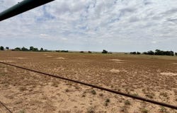 3401 E Regis Street, Lubbock, TX 79403