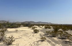 TR: C80 Rainbow Hawk Rd, Terlingua, TX 79852