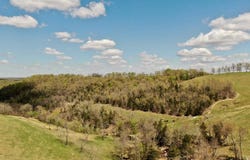 79.50 ac. (+/-) Crochet Road, Marshall, AR 72650
