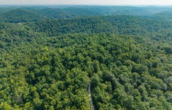 500 Clay Camp Road Road, Hitchins, KY 41146