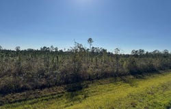 00 SW COUNTY ROAD 158, Jasper, FL 32052