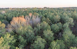Barr Chapel Road, Edgefield, SC 29824
