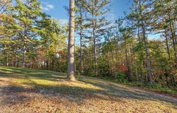 Lot 10 Dry Meadow Dr., Adams, KY 41201