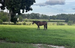 SW 107TH STREET, ARCHER, FL 32618