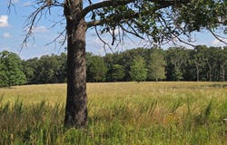 State Highway 65, Urbana, MO 65767