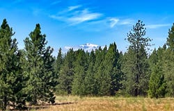 9 Haven CT, Goldendale, WA 98620