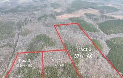 155+/- Acres County Road 313, Wedowee, AL 36278