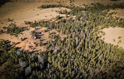 Wilderness Ranch Rd, Red Feather Lakes, CO 80545