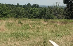 020-05077-000 Sansing Hollow  RD, Harrison, AR 72601