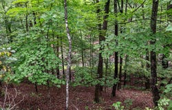 VALLEY VIEW ROAD, BASYE, VA 22810