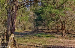 0 Sanders Store Road, Milan, TN 38358