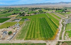 1161 23 Road, Grand Junction, CO 81505