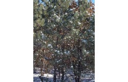 ON 13TH AVENUE, Nekoosa, WI 54457