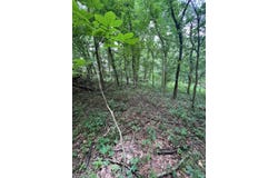6195 Ashford Circle, Newburgh, IN 47630