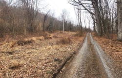 Adj. 303 Wake Road, Buffalo Mills, PA 15534